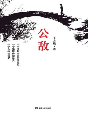 cover image of 公敌 (Public Enemy)
